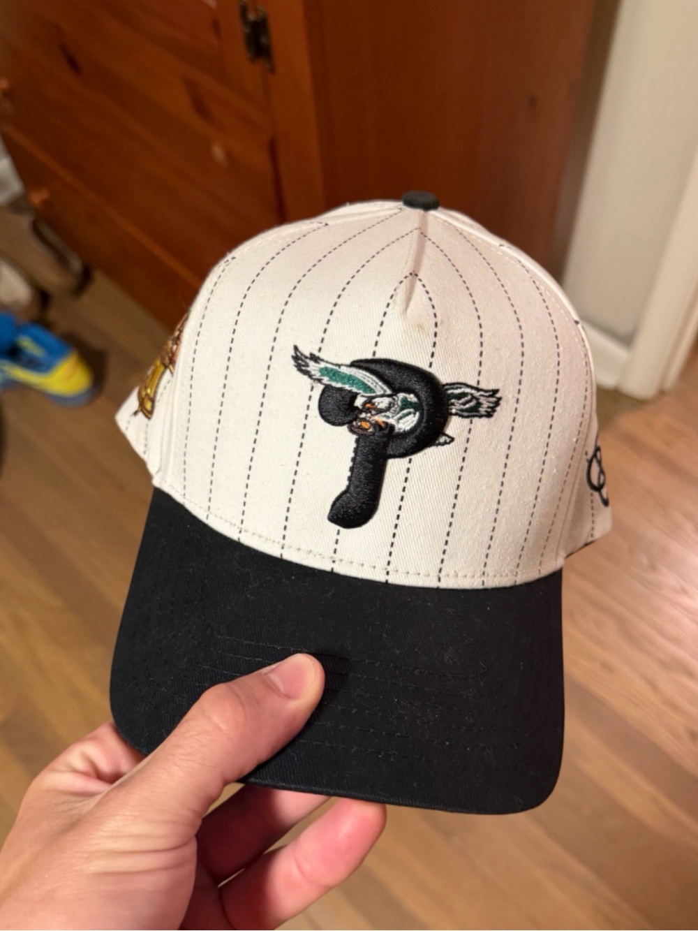 Philadelphia Pheagles A-frame Pinstripe Hat by Reference Brand